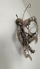 MOTH  - Carlos Cesar Roman