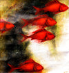 "Red Fish" - Diptych-  Edras Francisco Rodriguez
